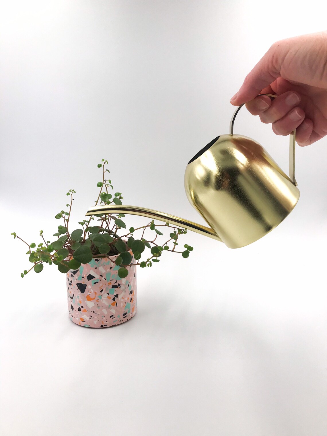 Watering can for houseplants small/golden Etsy