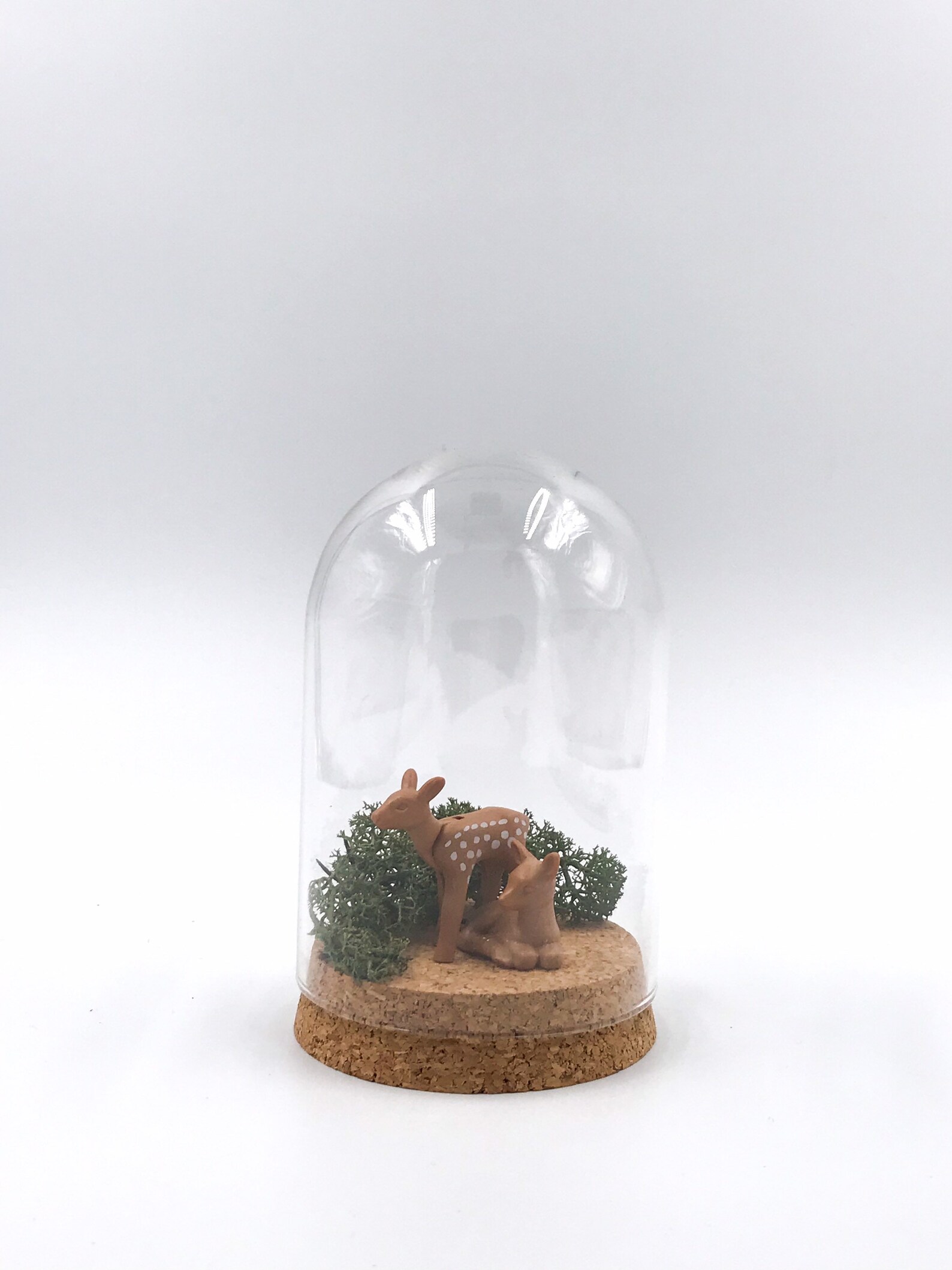Terrarium bell jar Etsy