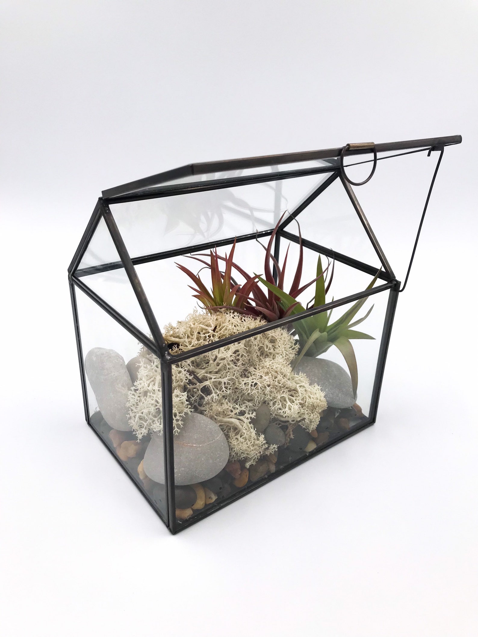 Glass House Terrarium Etsy