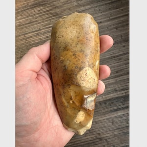 Può includere: Uno strumento in pietra liscia di colore marrone chiaro con una forma arrotondata e bulbosa. Lo strumento ha un aspetto screziato con macchie di marrone chiaro e bianco.