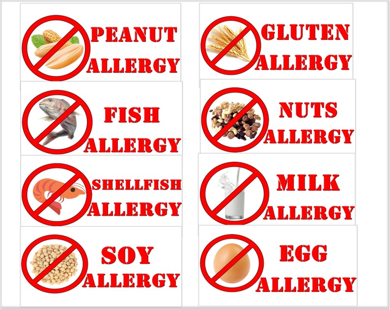 12 pcs Most Food Allergies Stickers/Milk Allergy/Peanut | Etsy