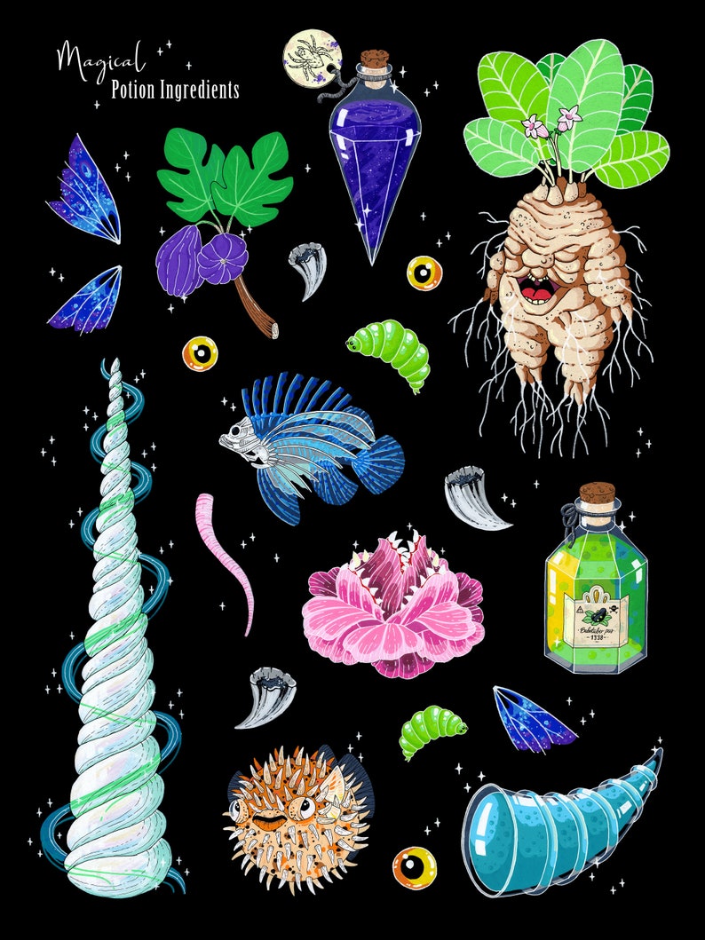 Magical potion ingredients poster 18x24 inch semigloss Etsy