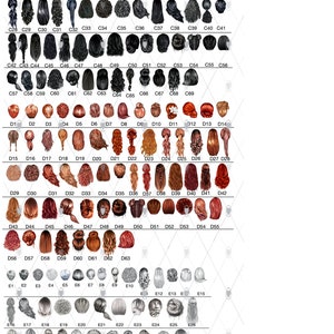 Puede incluir: Un cat&aacute;logo de varios peinados e hiyabs, presentado en formato de cuadr&iacute;cula. La imagen muestra una diversa selecci&oacute;n de dise&ntilde;os de cabello, incluyendo trenzas, mo&ntilde;os y mechones sueltos, junto con una gama de estilos de hiyab en diferentes colores.