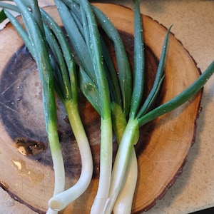 May include: Four green scallions with white bulbs on a wooden cutting board.