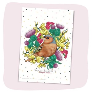 Carte Postale, "Pinson des arbres", papier recyclé, papeterie illustrée, A6.