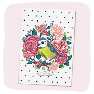 Carte Postale, "Mésange bleue", papier recyclé, papeterie illustrée, A6.