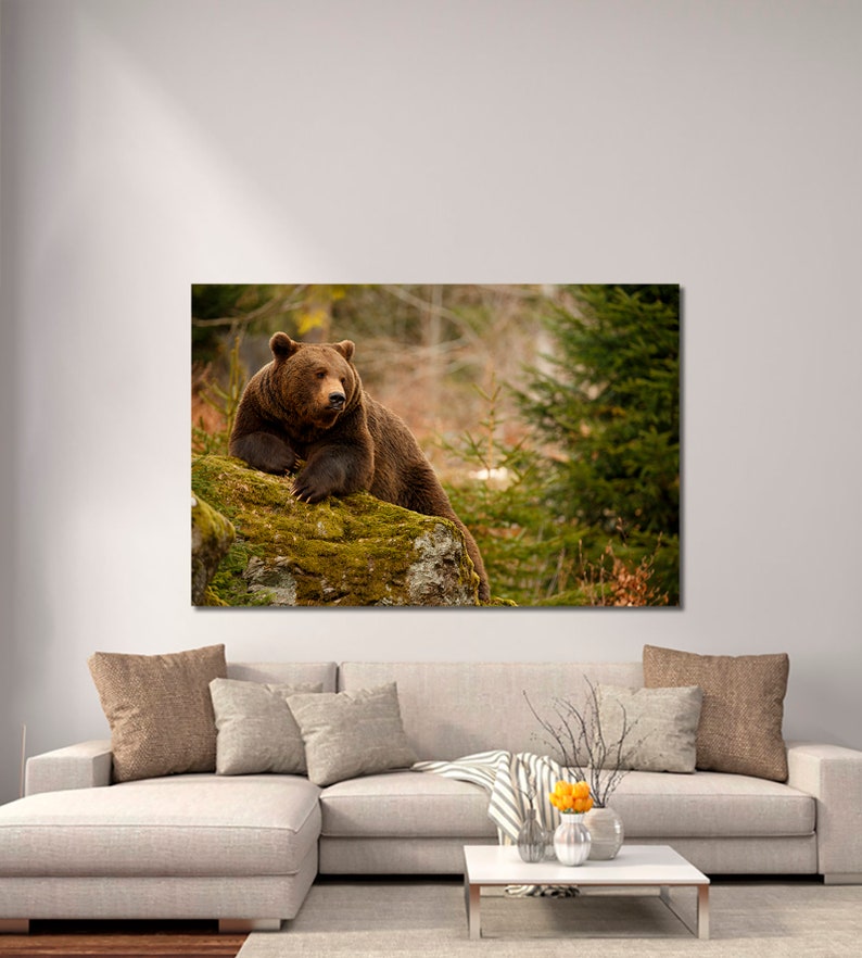 Bear wall art Bear canvas print Bear modern art Wild animal | Etsy