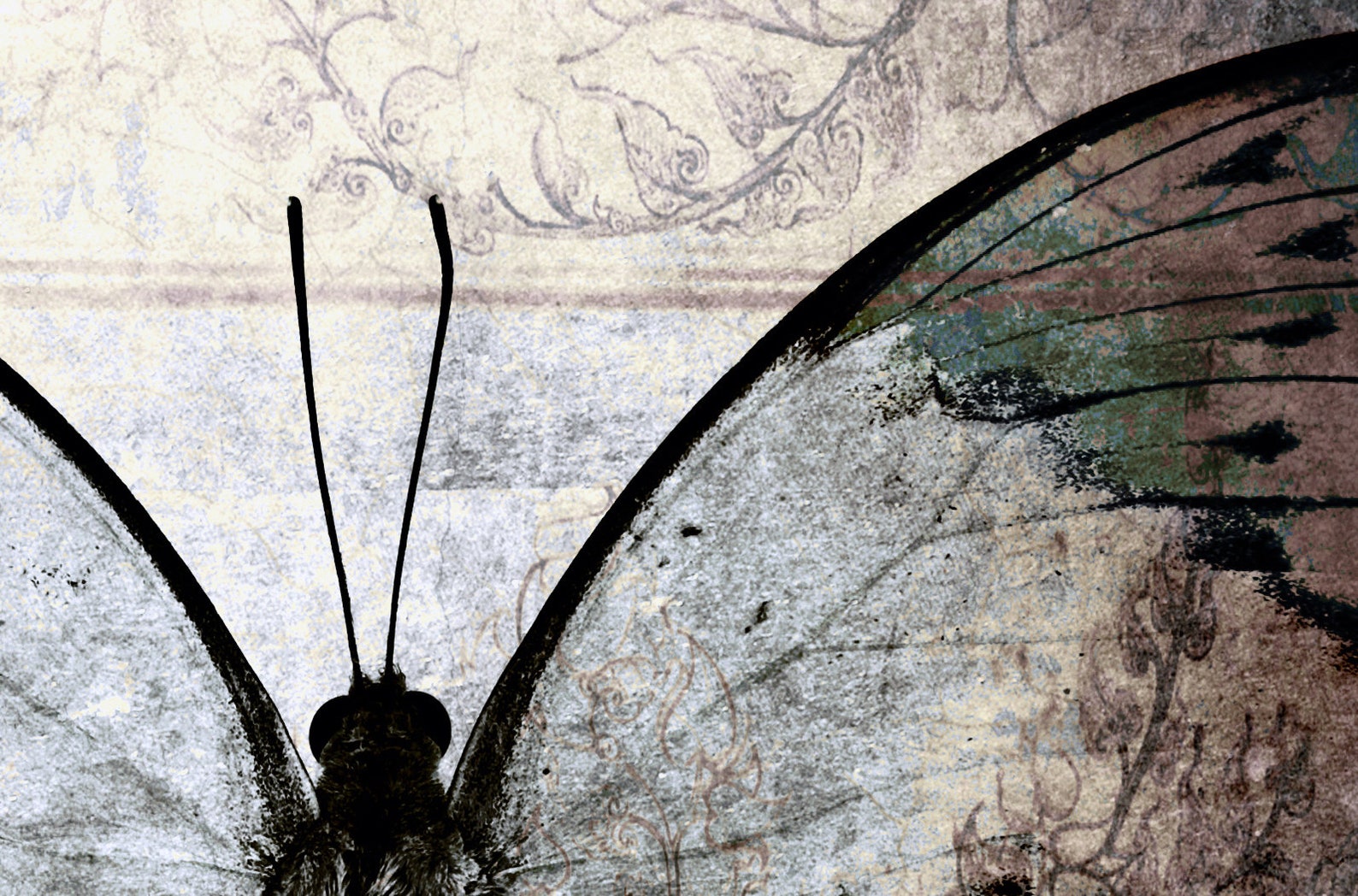 Butterfly canvas print Butterfly wall art Abstract canvas Etsy