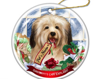 I Can Explain!' White Havanese Dog Porcelain Hanging Ornament Pet Gift 'Santa. 