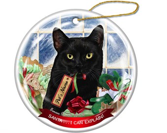 Black Cat Santa I Can Explain Christmas Ornament