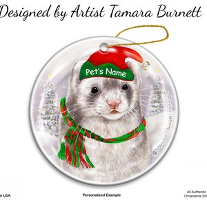 Silver mitt ferret for sale best sale