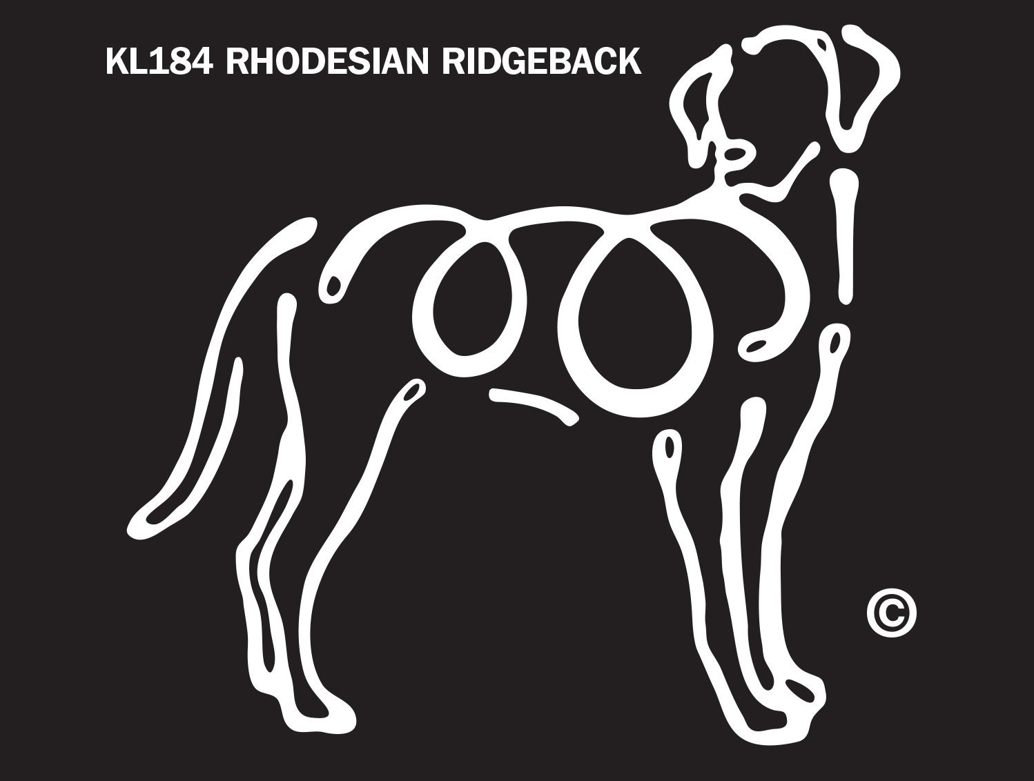 Colorful Decorative Portrait of Dog Rhodesian Ridgeback Vector I Stock  Vector  Illustration of large mammal 119986373
