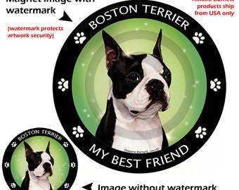 Magnes Boston Terrier - Mój najlepszy przyjaciel, rasa psa, koło 5,5 cala
