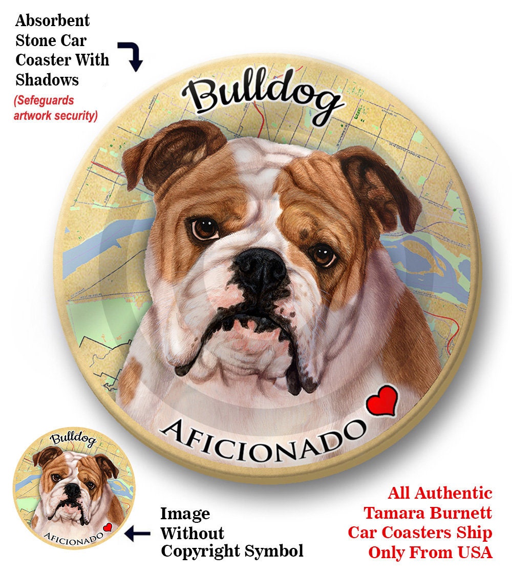 Englische Bulldogge braun/weiß Haustier Geschenke Untersetzer Freunde,  Hunde und Katzen, Auto und LKW Cup Halter, saugfähig Keramik, 2,65  Zollgröße -  Österreich