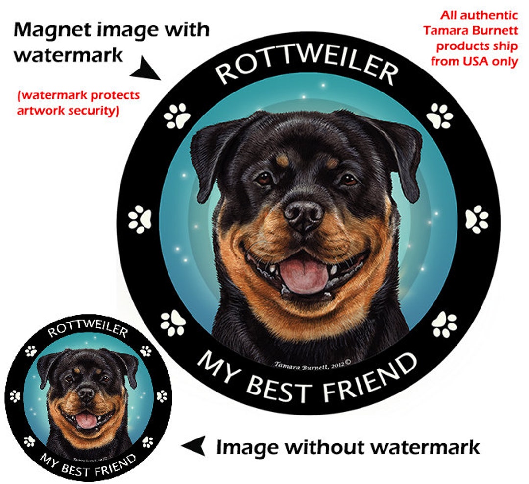 Rottweiler My Best Friend Circular Magnet - Packaged by Persons With ...