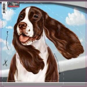 Springer Spaniel Liver & White - Autofensteraufkleber, der Aufkleber misst 25,4 x 30,5 cm