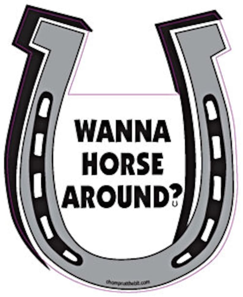 Horse Shoe Shaped Car Magnet Wanna Horse Around