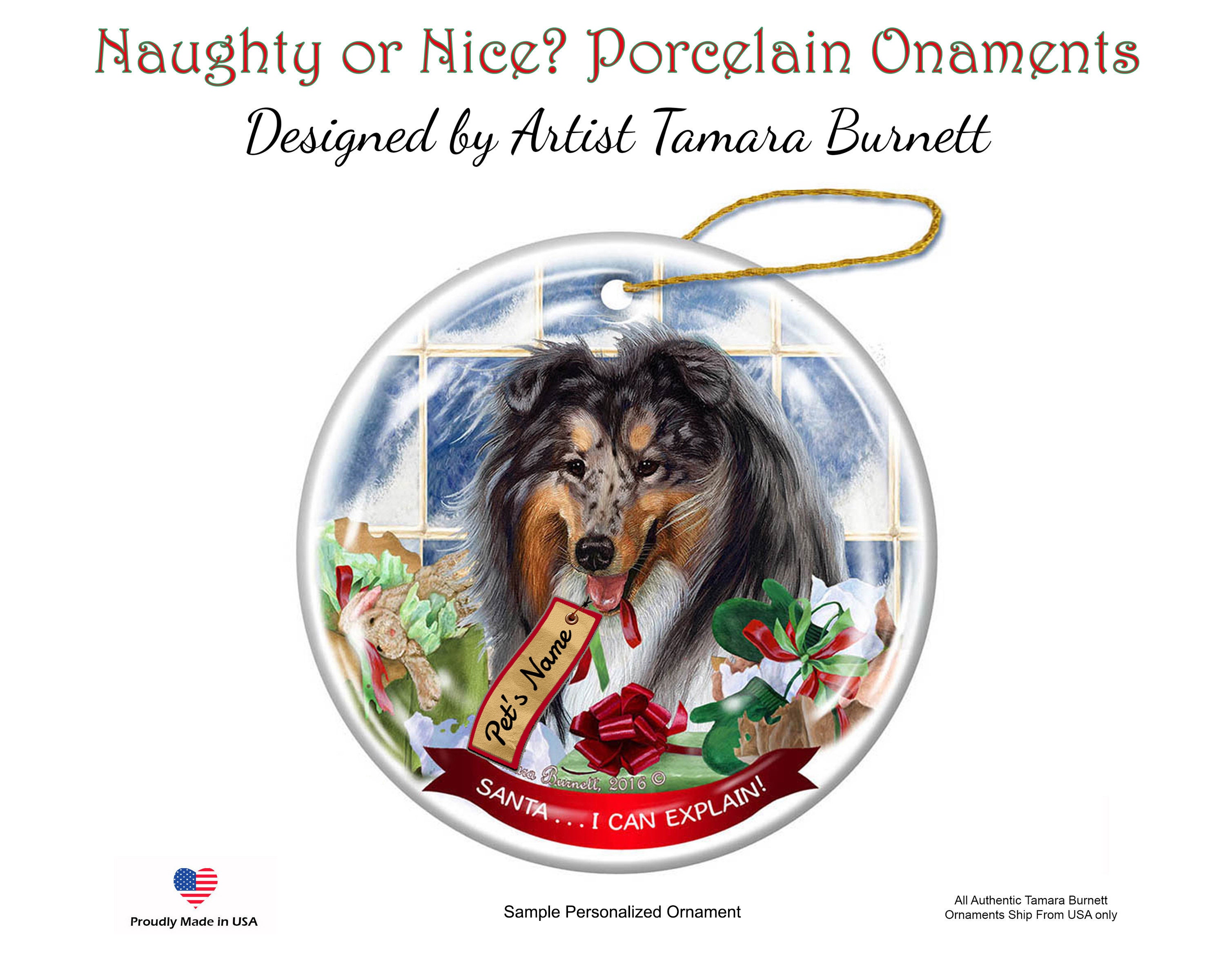 I Can Explain!' Leonberger Dog Porcelain Hanging Ornament Pet Gift 'Santa. 
