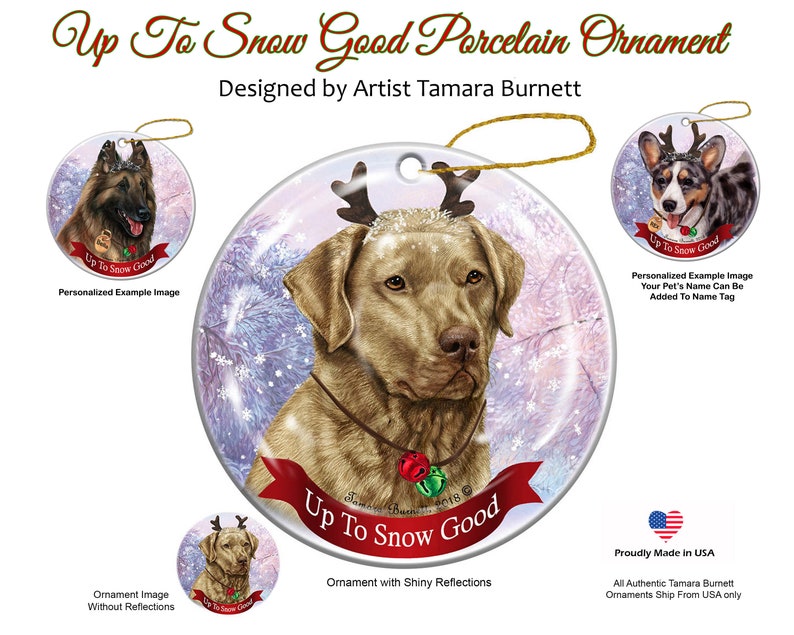 Holiday Pet Gifts Chesapeake Retriever Dead Grass Reindeer Antlers Dog