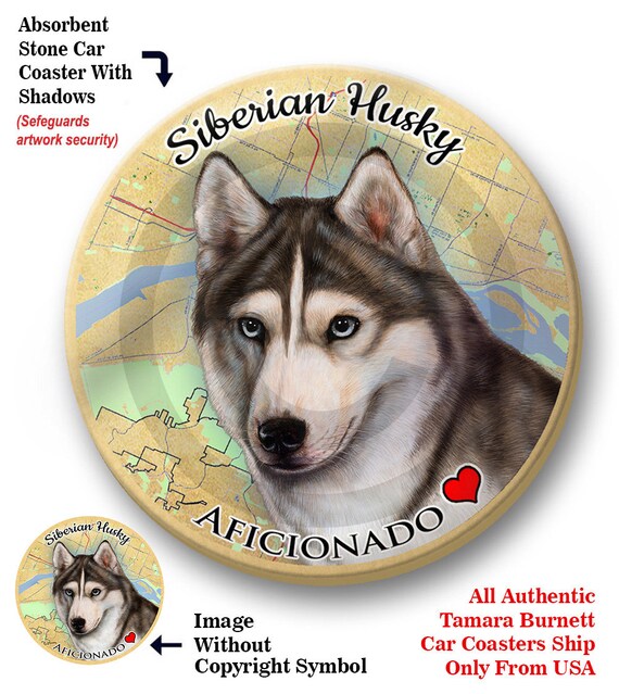 husky grey and white