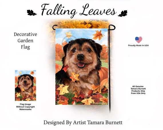 Norfolk Terrier Black Tan Can Personalize With Pet Or Etsy