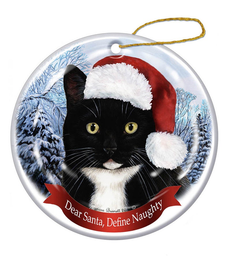 Holiday Pet Gifts Tuxedo Cat Santa Hat Dog Porcelain