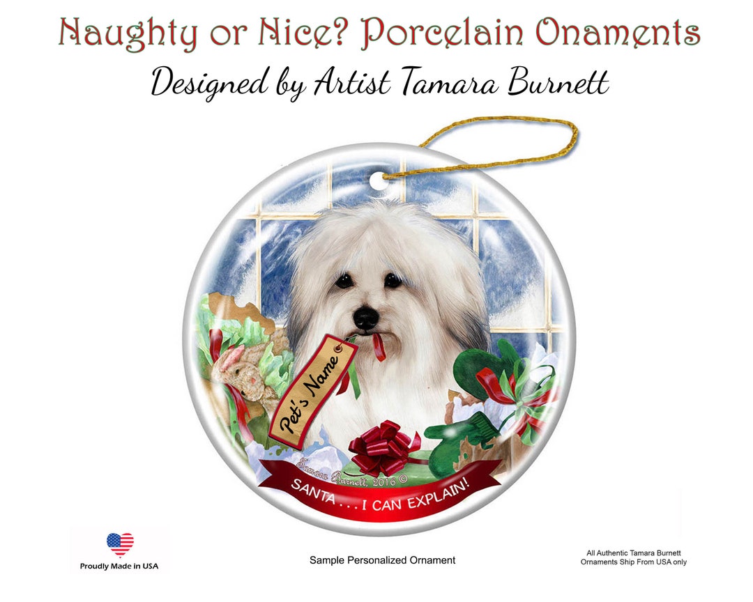 Coton De Tulear Porcelain Hanging Ornament Pet Gift Etsy