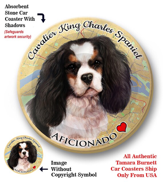 Cavalier King Charles Spaniel Car Trash Bag - Tri Cavalier King Charles Spaniel Car Trash Bag - Tri