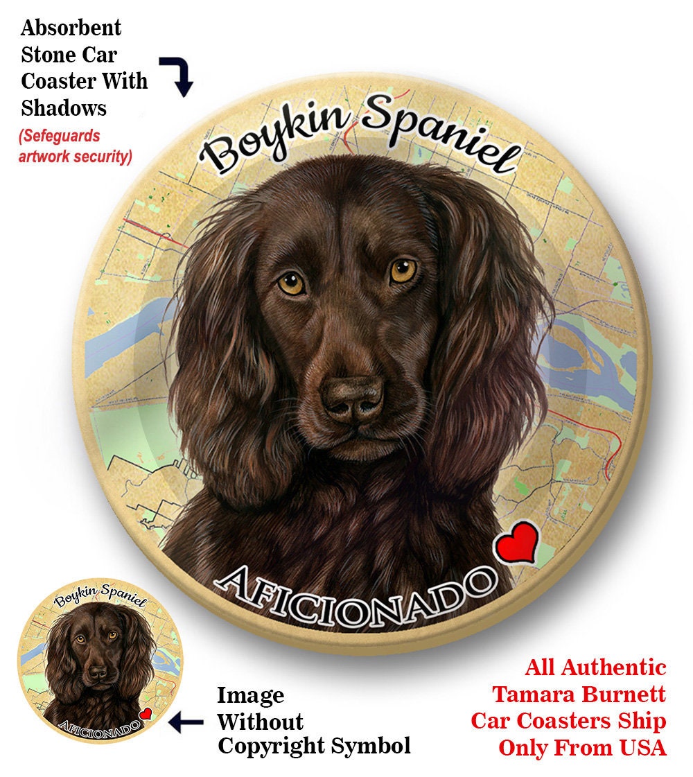 Boykin spaniel foundation cheap