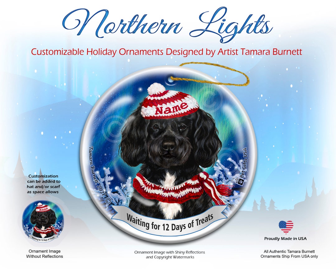 Portuguese Water Dog Clipart. Different Poses, Coat Colors Set Stock