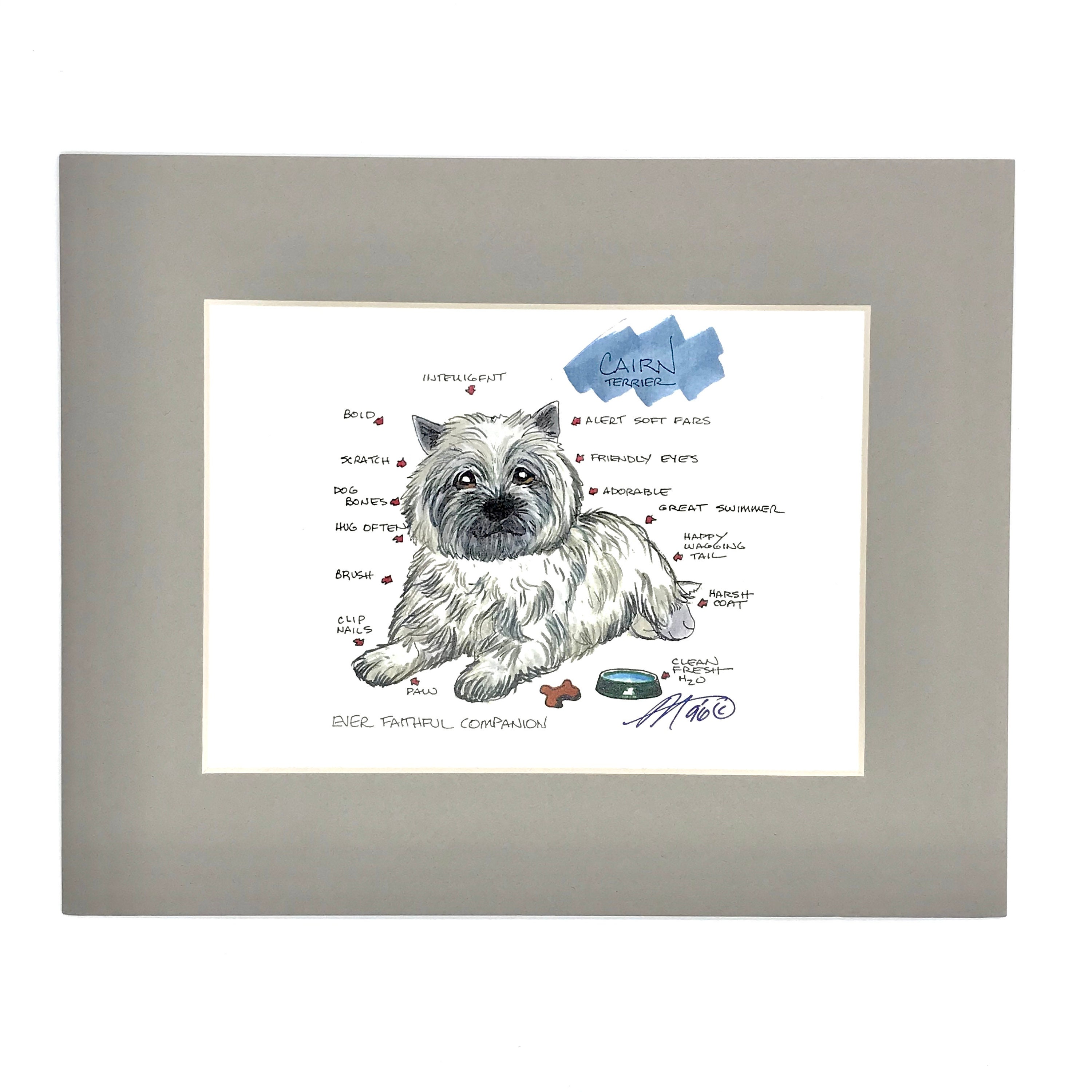 How Do You Brush A Cairn Terrier