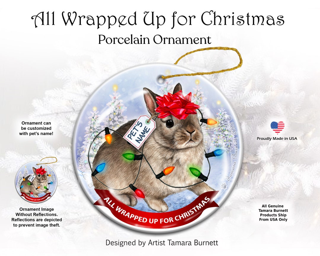 Netherland Dwarf Agouti Rabbit All Wrapped up for Christmas Ornament - Etsy