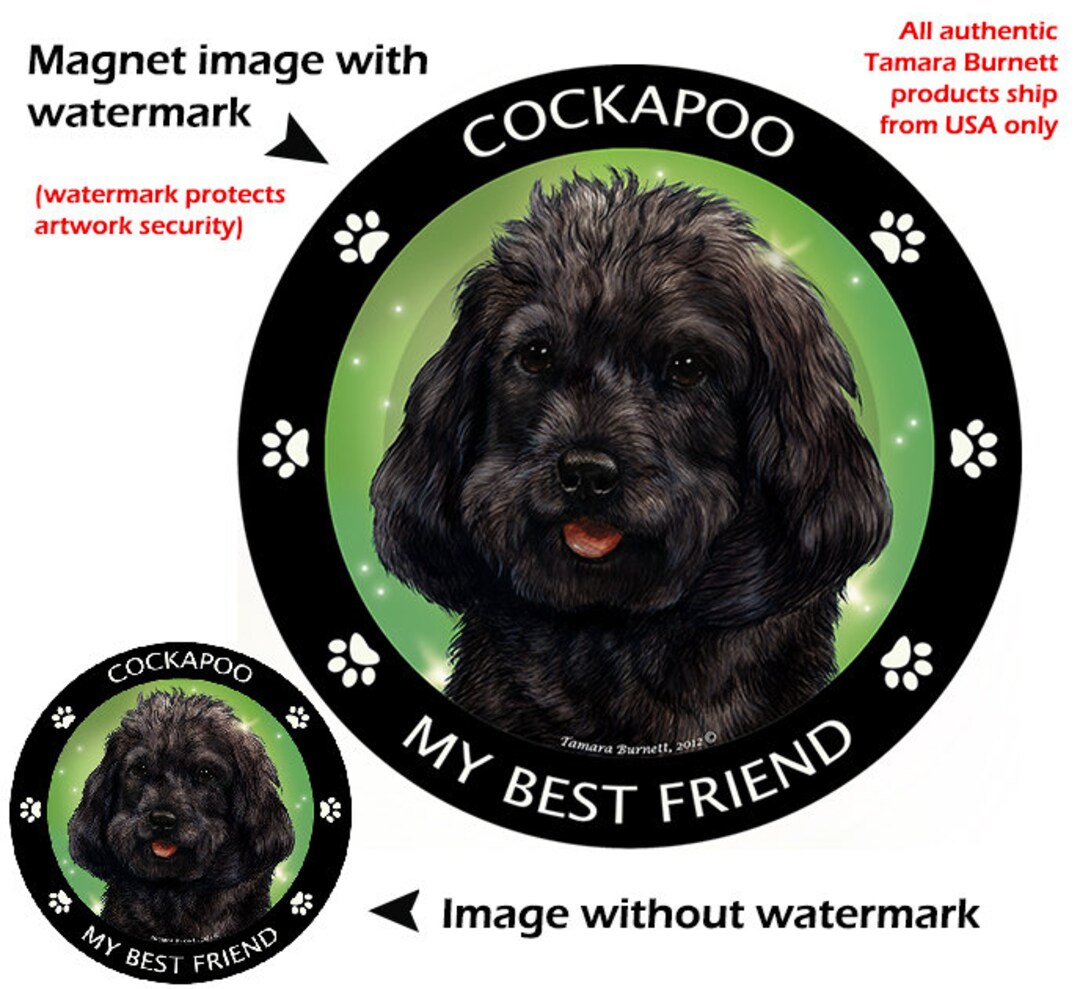 Cockapoo Magnet Black Cockapoo Magnet - My Best Friend Dog Breed Art 5.5