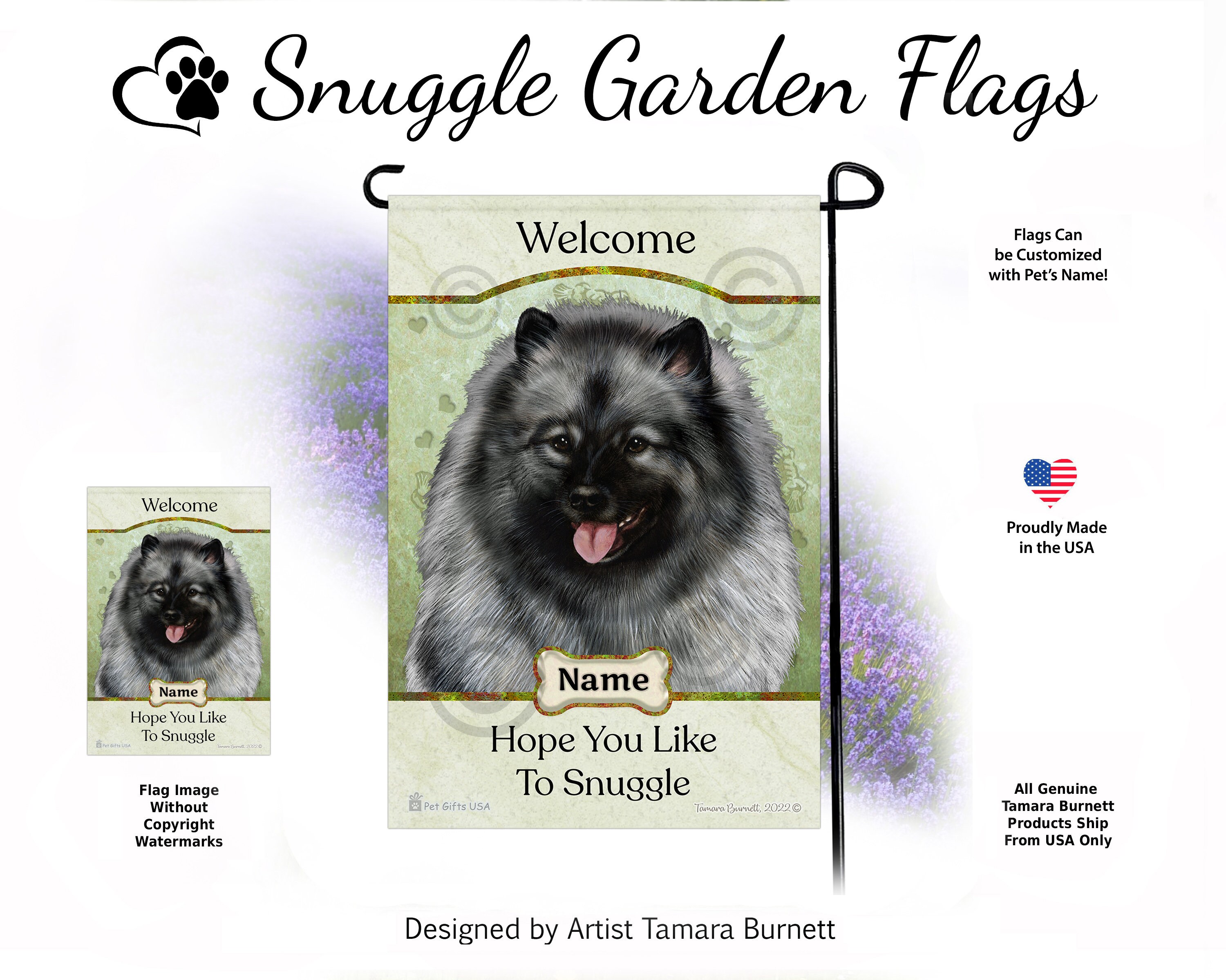 Keeshond Puppy Singapore