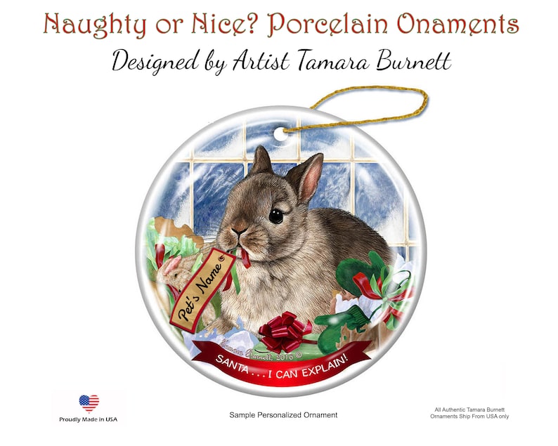 Netherland Dwarf Rabbit Santa I Can Explain Christmas Ornament Etsy