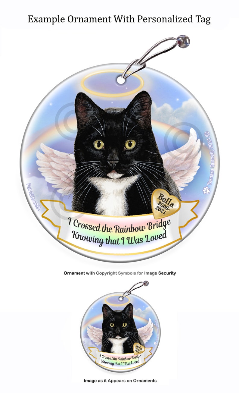 Memorial Ornament With Personalization Options Maine Coon Silver