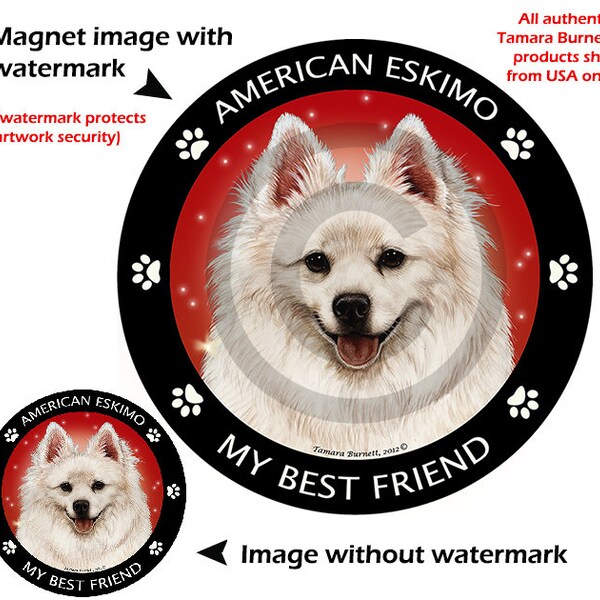 American Eskimo My Best Friend Circular Magnet - Empaquetado por Personas con Discapacidades, El tamaño del imán es 5.5"x 5.5"