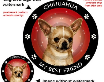 Chihuahua Magnets  Boss Lady  Magnet Set  Limited addition set of 3 Prize