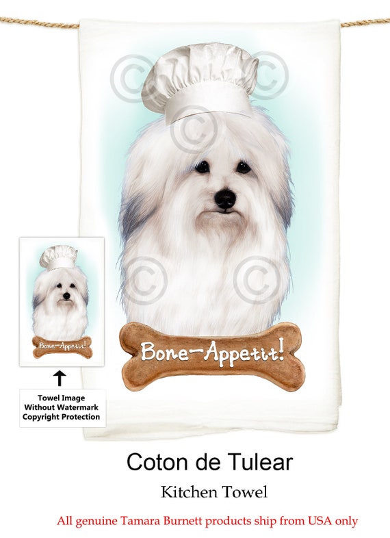 coton de tulear singapore