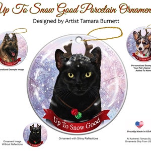 Gato negro en la nieve, buen adorno
