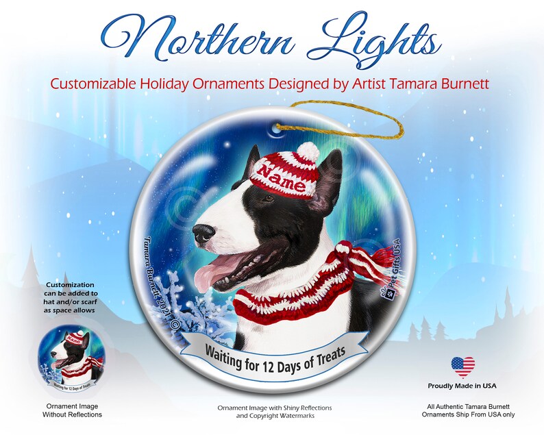 Bull Terrier Black & White Pet Gift Personalized Northern Lights