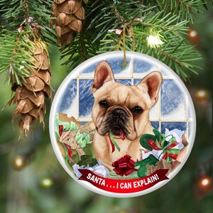 a christmas ornament hanging from a christmas tree