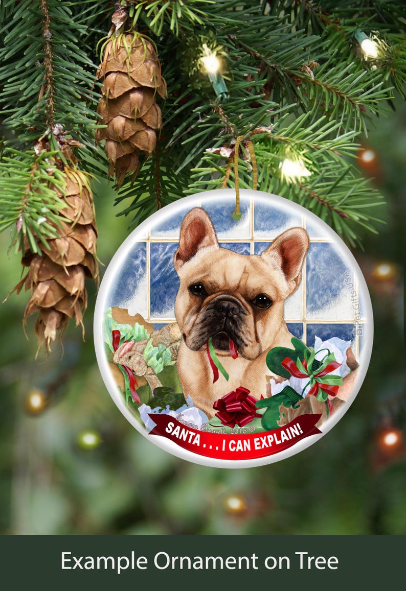 a christmas ornament hanging from a christmas tree