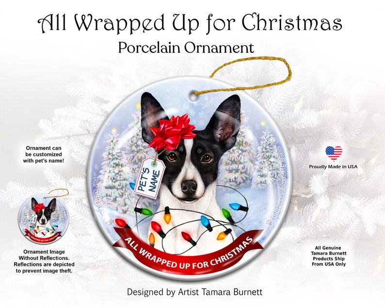 Rat Terrier Black & White Cropped All Wrapped up for Christmas Ornament