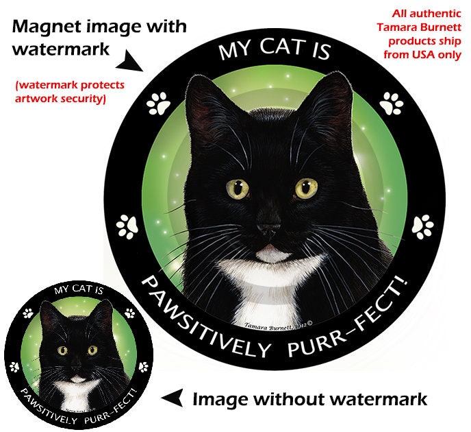 Copy of Cat Pfp , Funy cat Magnet for Sale by GaliaTati