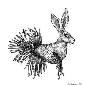Jackrabbit Hare Fish Drawing | Giclee Print of Surreal Animal Art