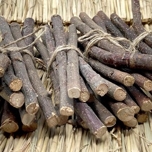 Bois de pommier bio à mâcher de grand diamètre : Sticks dentaires pour petits animaux de compagnie