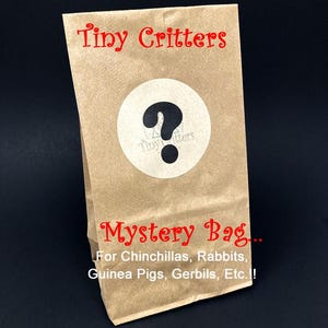 Tiny Critter Mystery Bag: Toys & Treats for Small Pets - Chinchillas, Rabbits, Guinea Pigs, Hamsters, Gerbils, Etc.