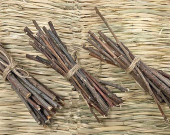 20 Organic Apple Wood Twigs, Shorties, and Oddities: Small Pet Chew Toys