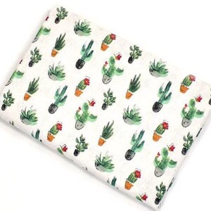 Prickly Cacti